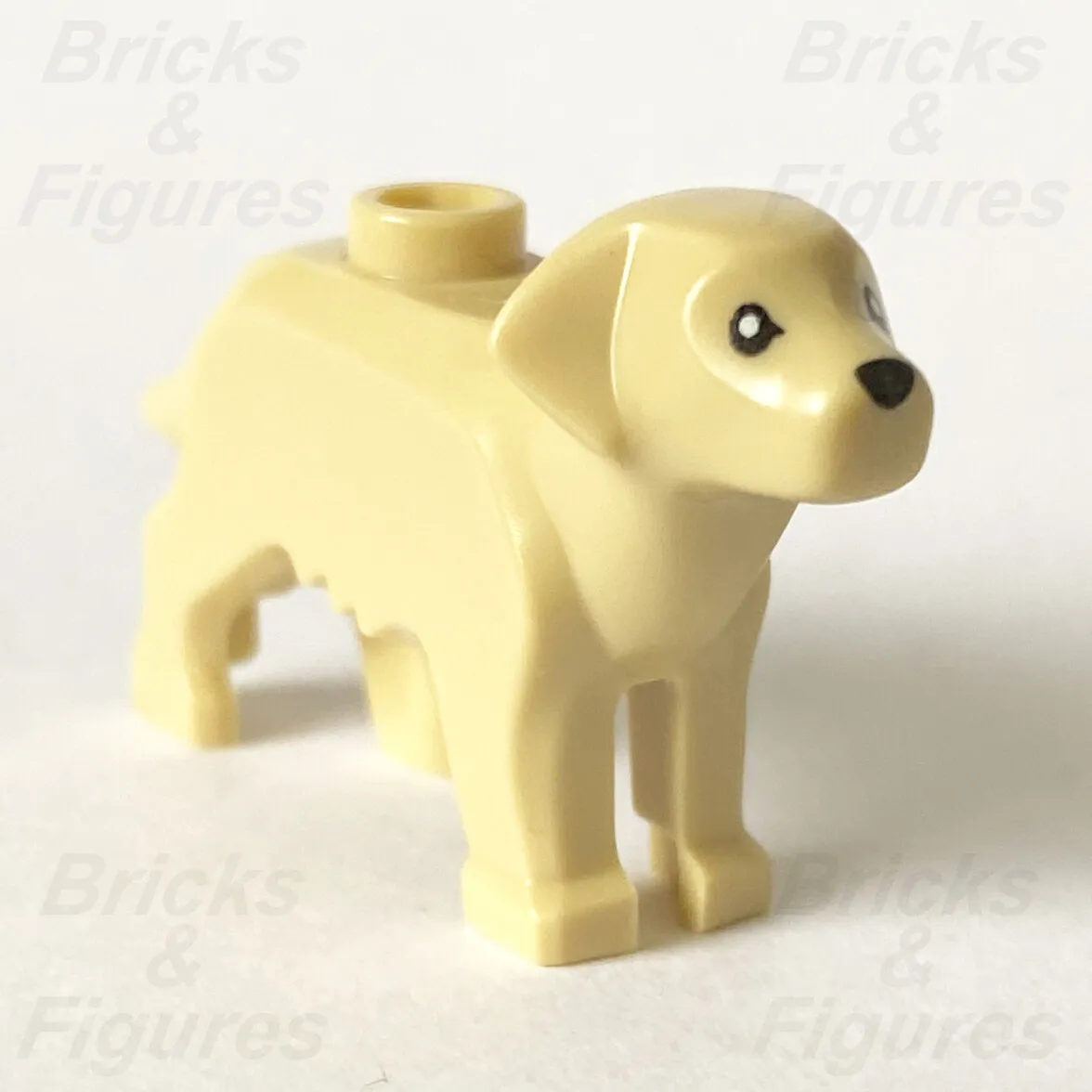 golden retriever lego