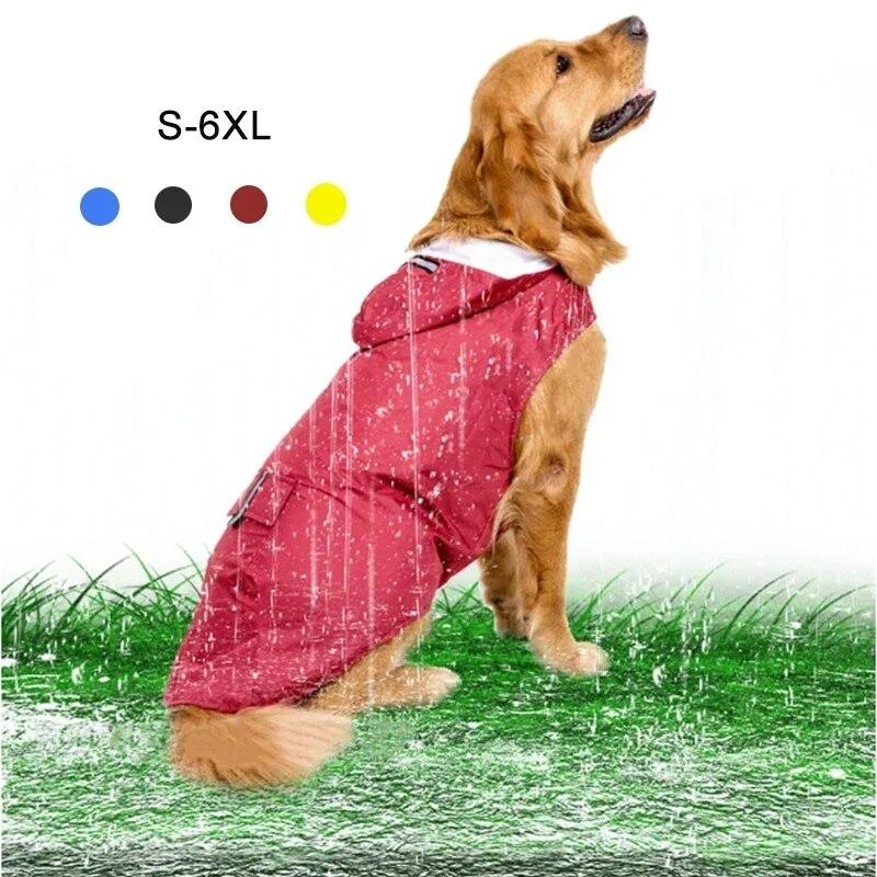 golden retriever raincoat