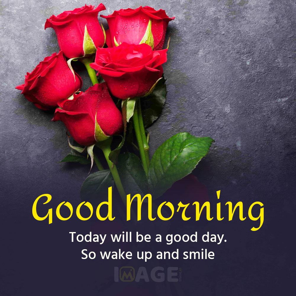 good morning flowers images with quotes
