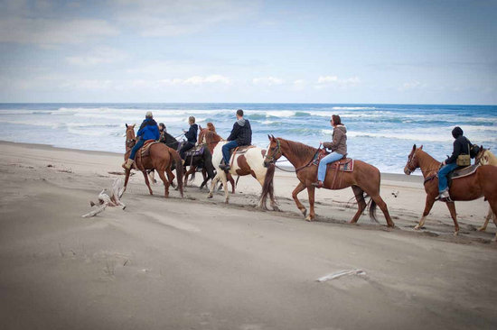 green acres beach & trail rides