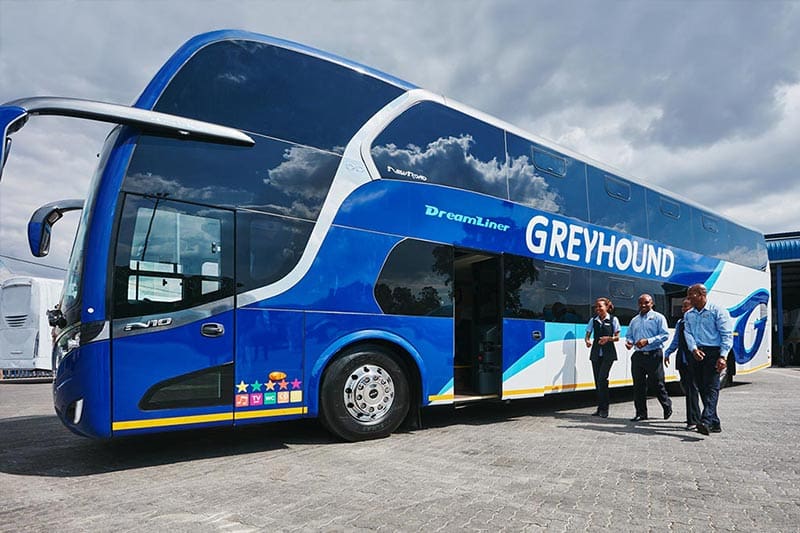 greyhound bus website