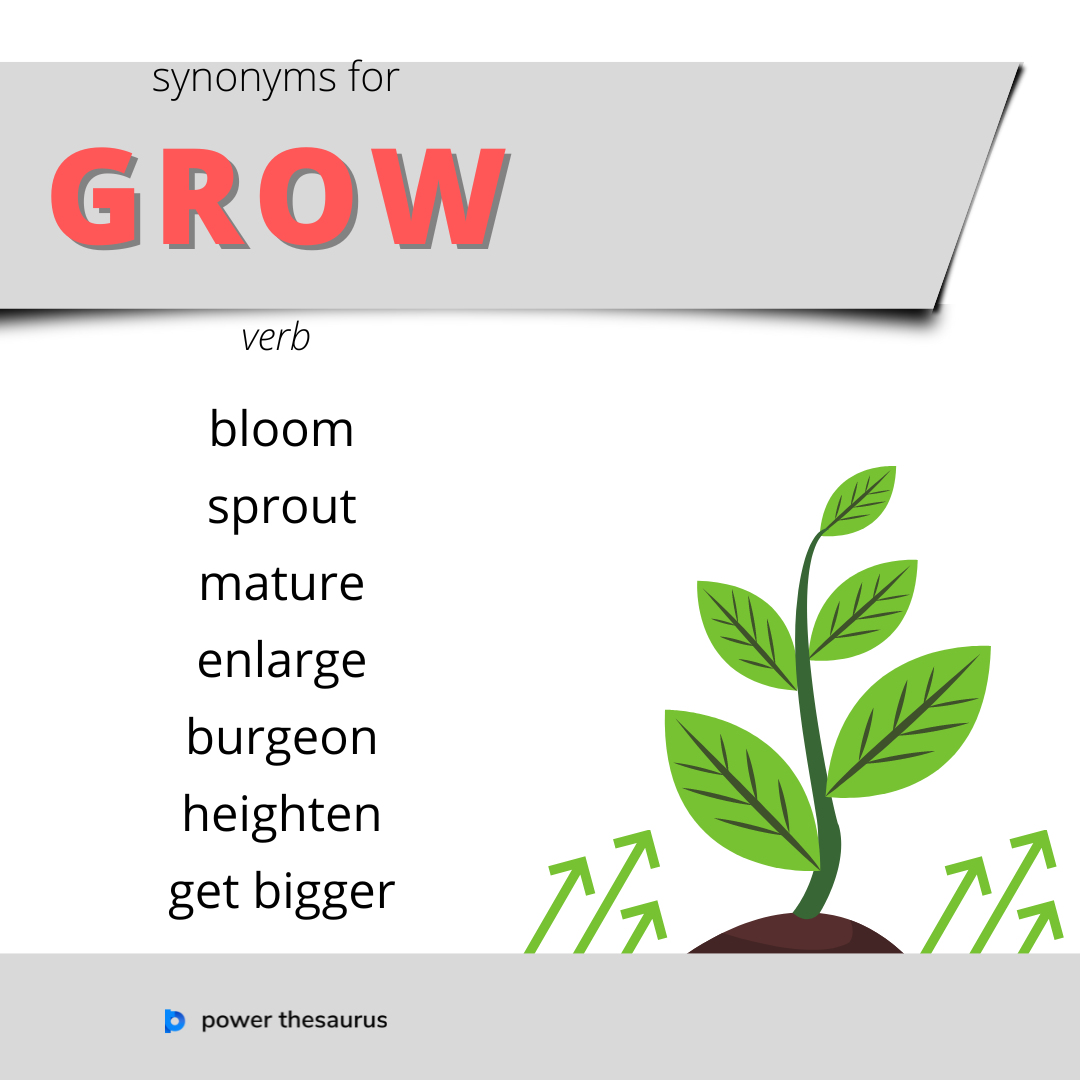 growing synonyms