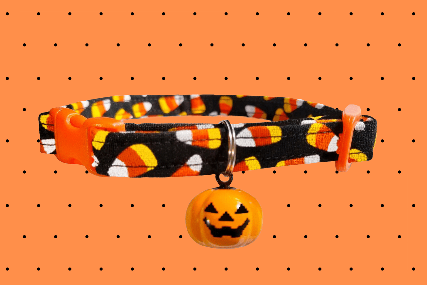 halloween cat collar