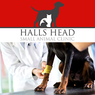 halls head small animal clinic