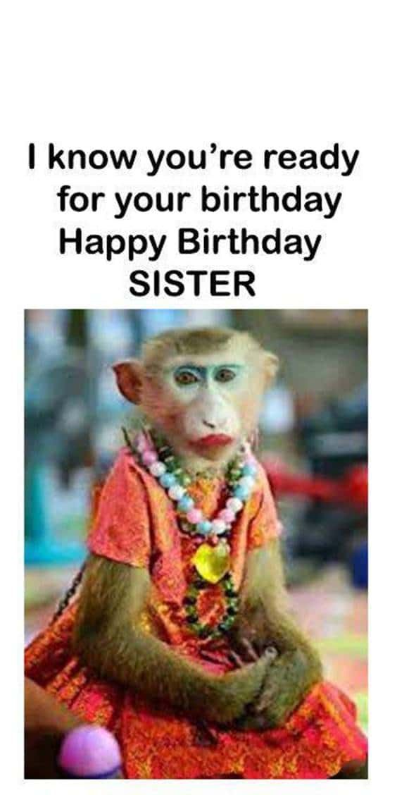 happy birthday sister meme funny