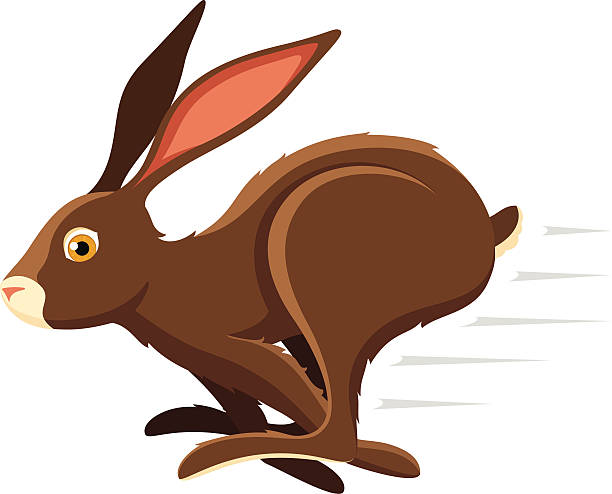 hare clipart