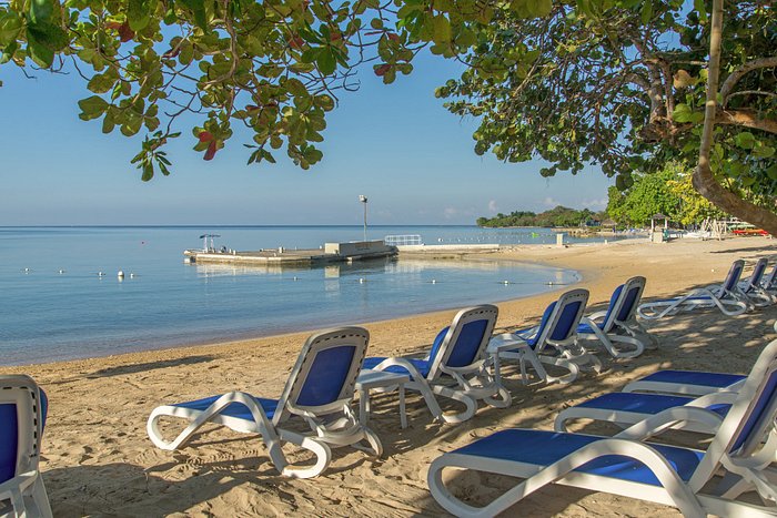 hedonism negril reviews