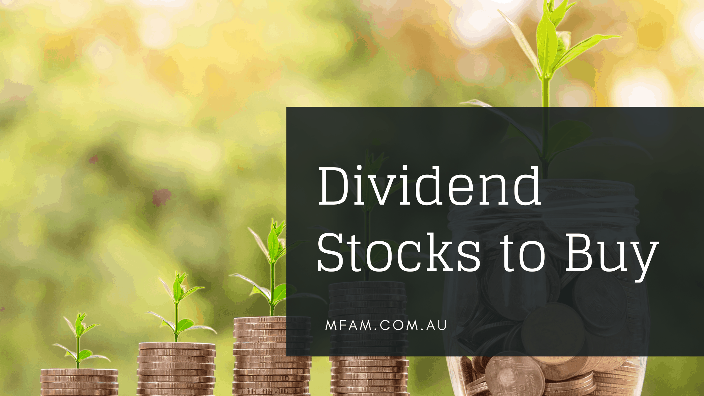 highest dividend stocks asx