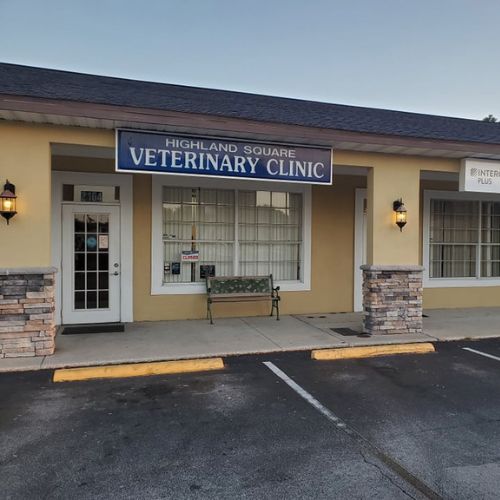 highland square family vet