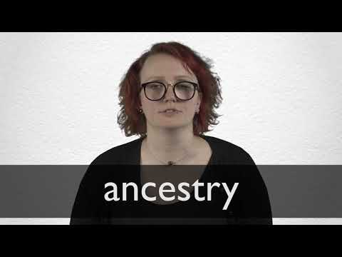 hindi meaning of ancestry