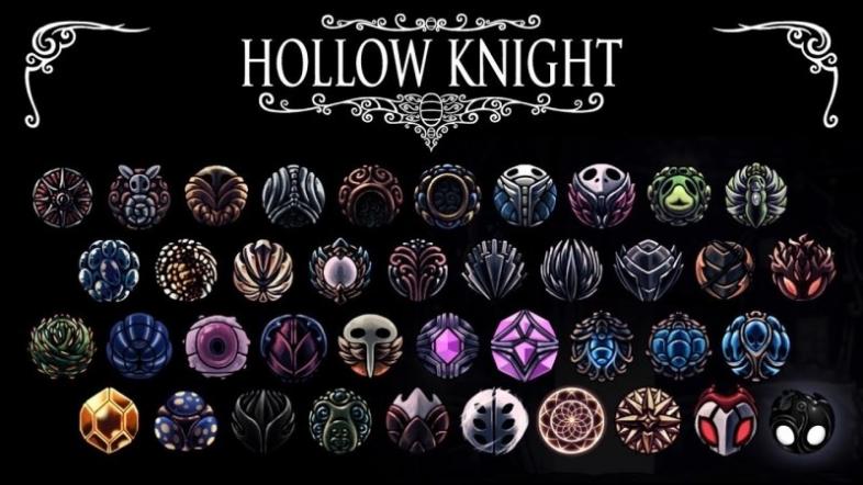 hollow knight all charm