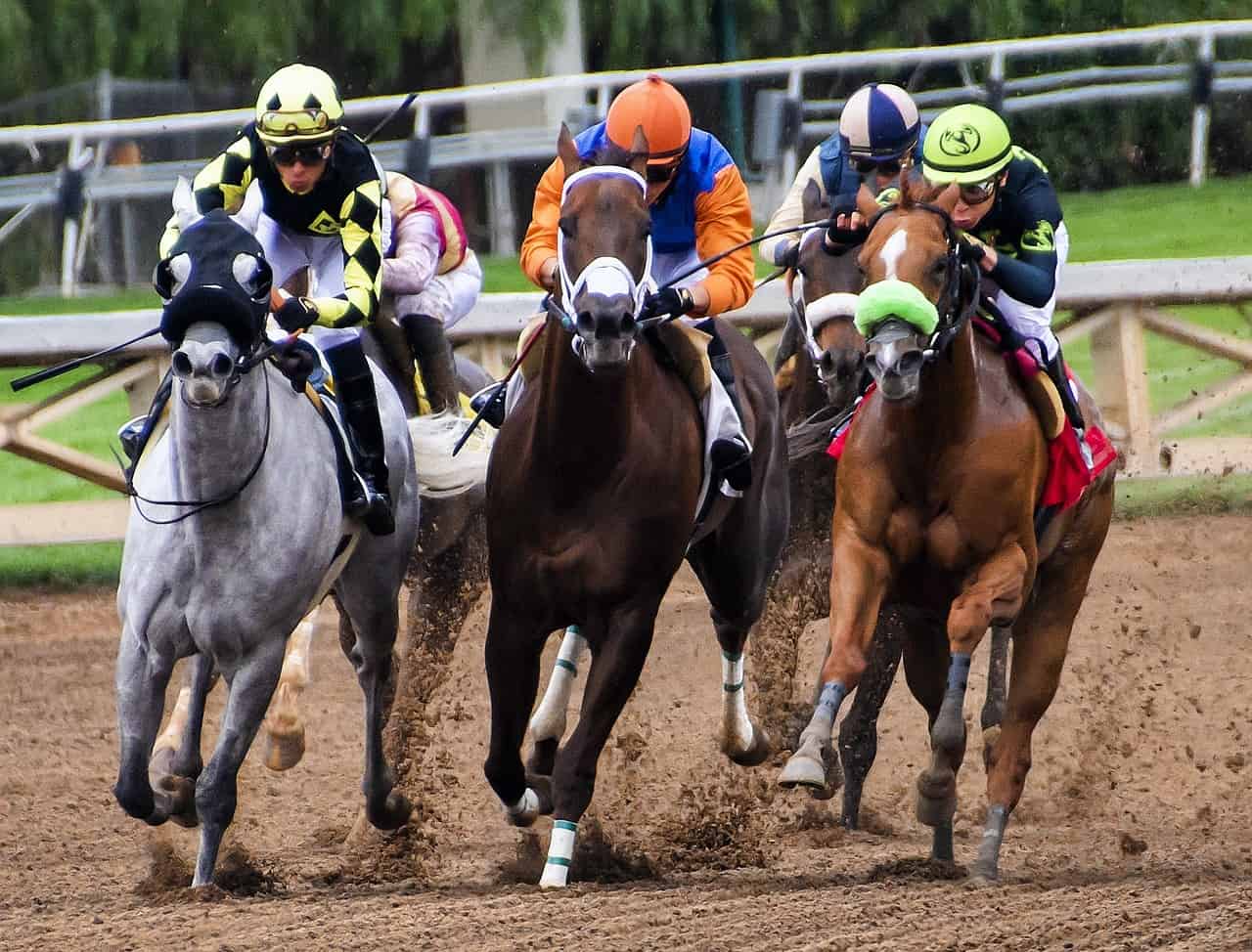 horse racing america results