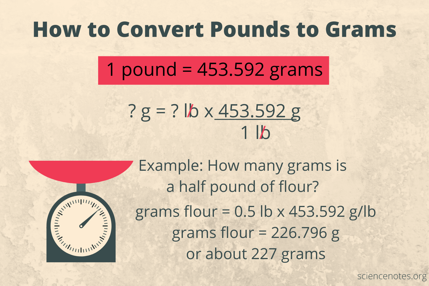 how many grams and in a pound