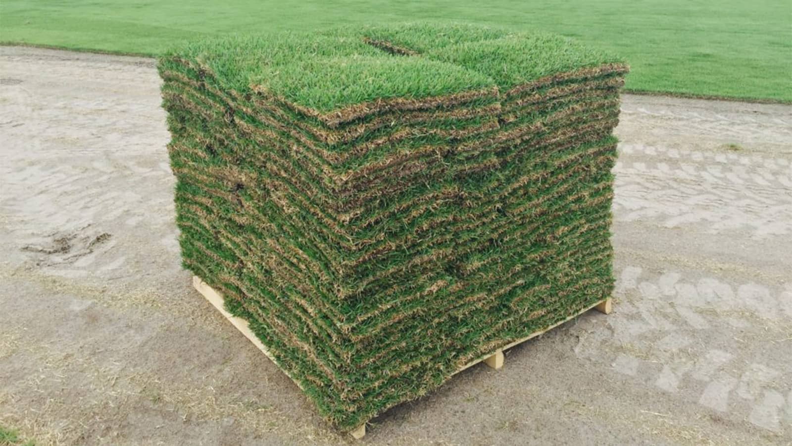 how much sod do i need for 500 square feet