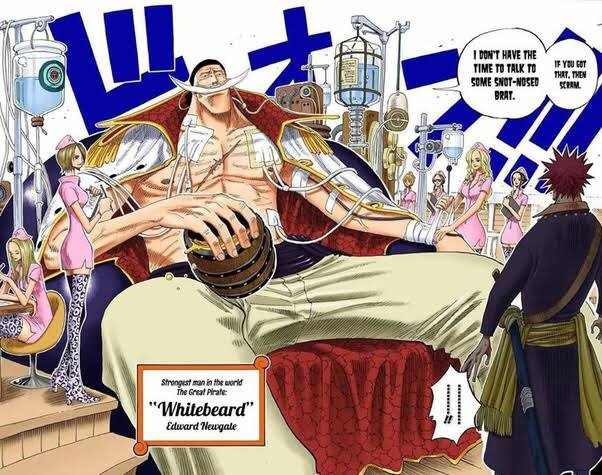 how old is whitebeard