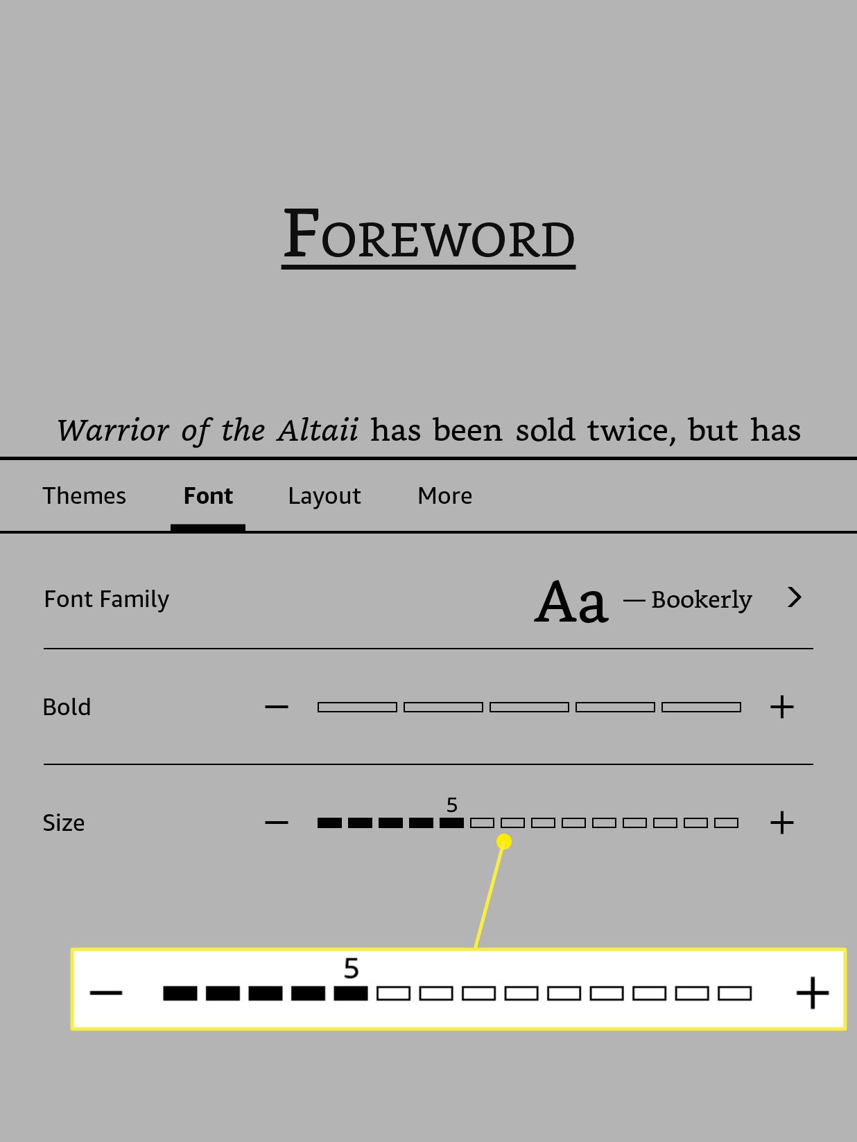 how to change text size in kindle