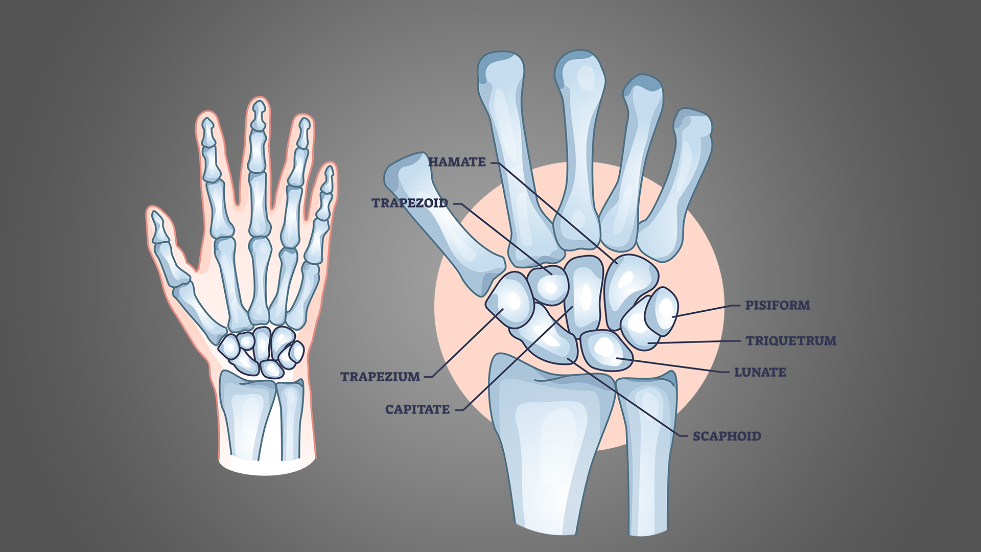 how to get bigger wrists