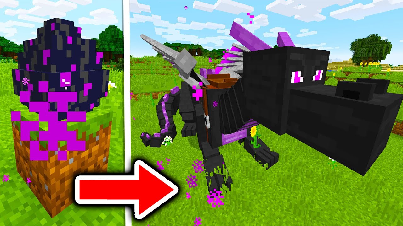 how to hatch an ender dragon egg in creative mode
