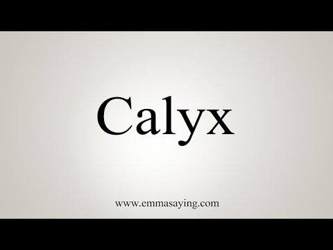 how to pronounce calyx