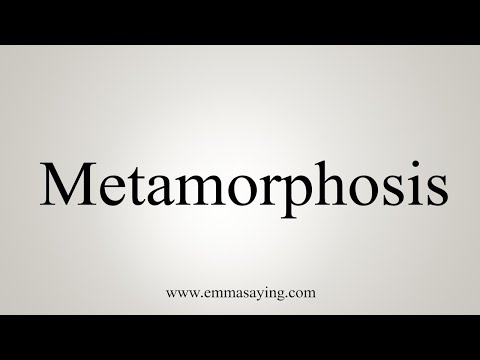 how to pronounce metamorphosis