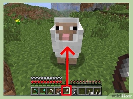 how to tame sheep in minecraft