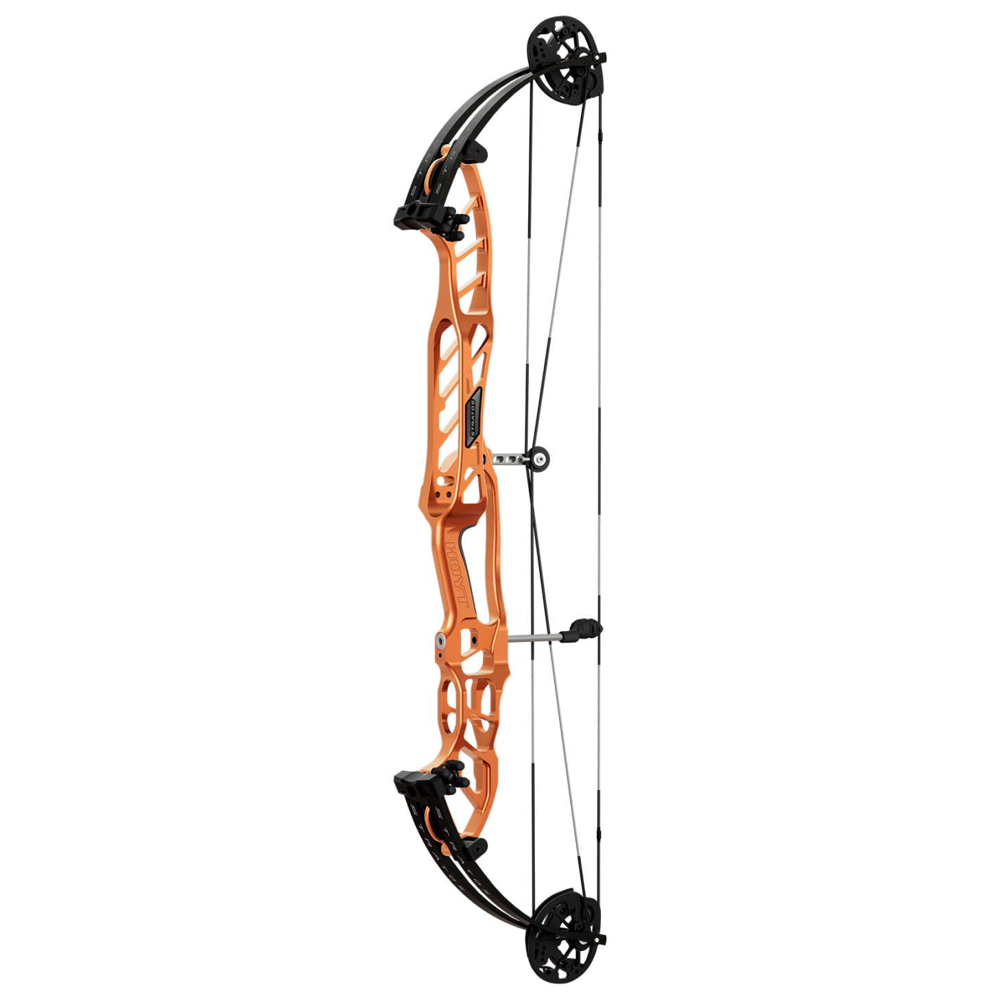 hoyt compound bow