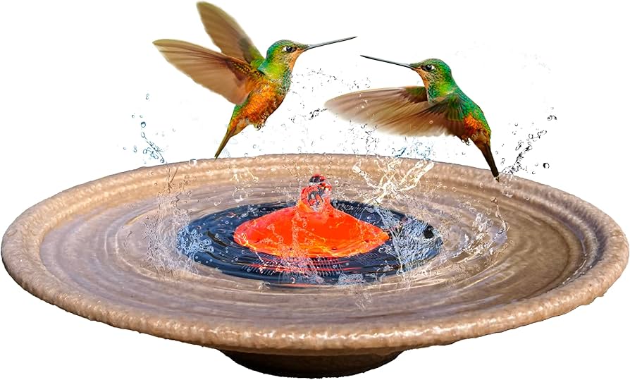 hummingbird bird bath fountains