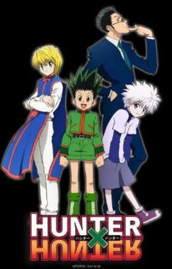 hunter x hunter x reader