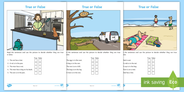 ingilizce true false reading