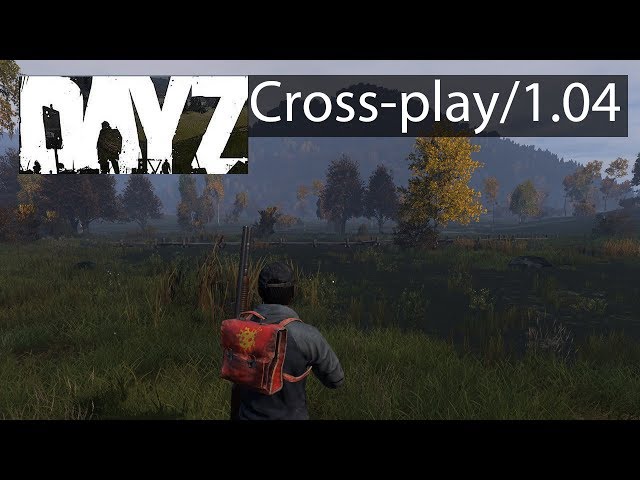 is dayz crossplay