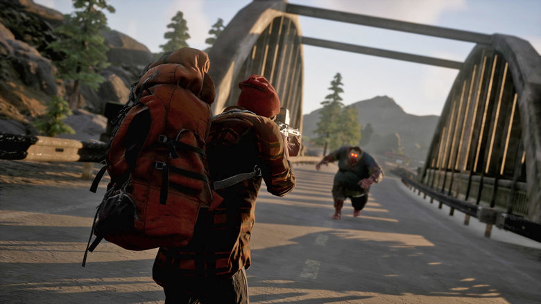 is state of decay 2 cross platform