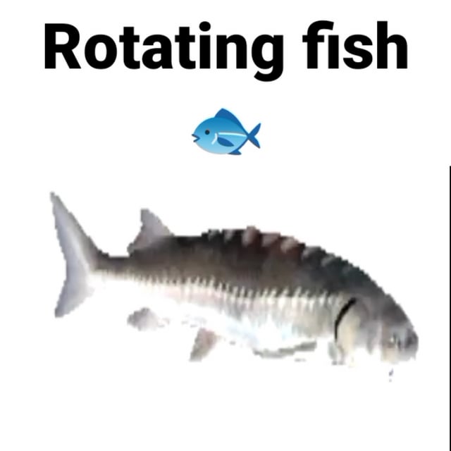 joel spinning fish meme
