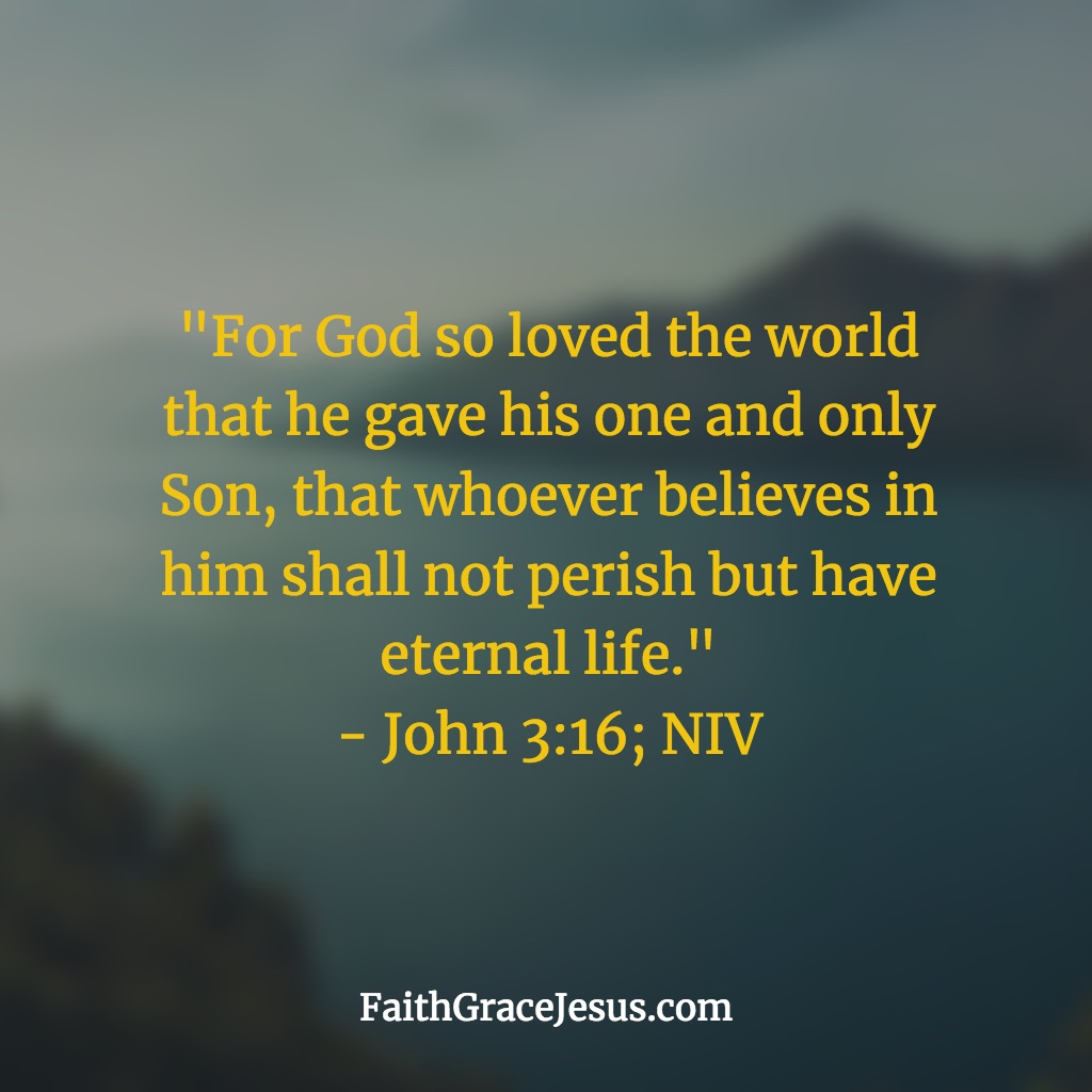 john 3 16 niv