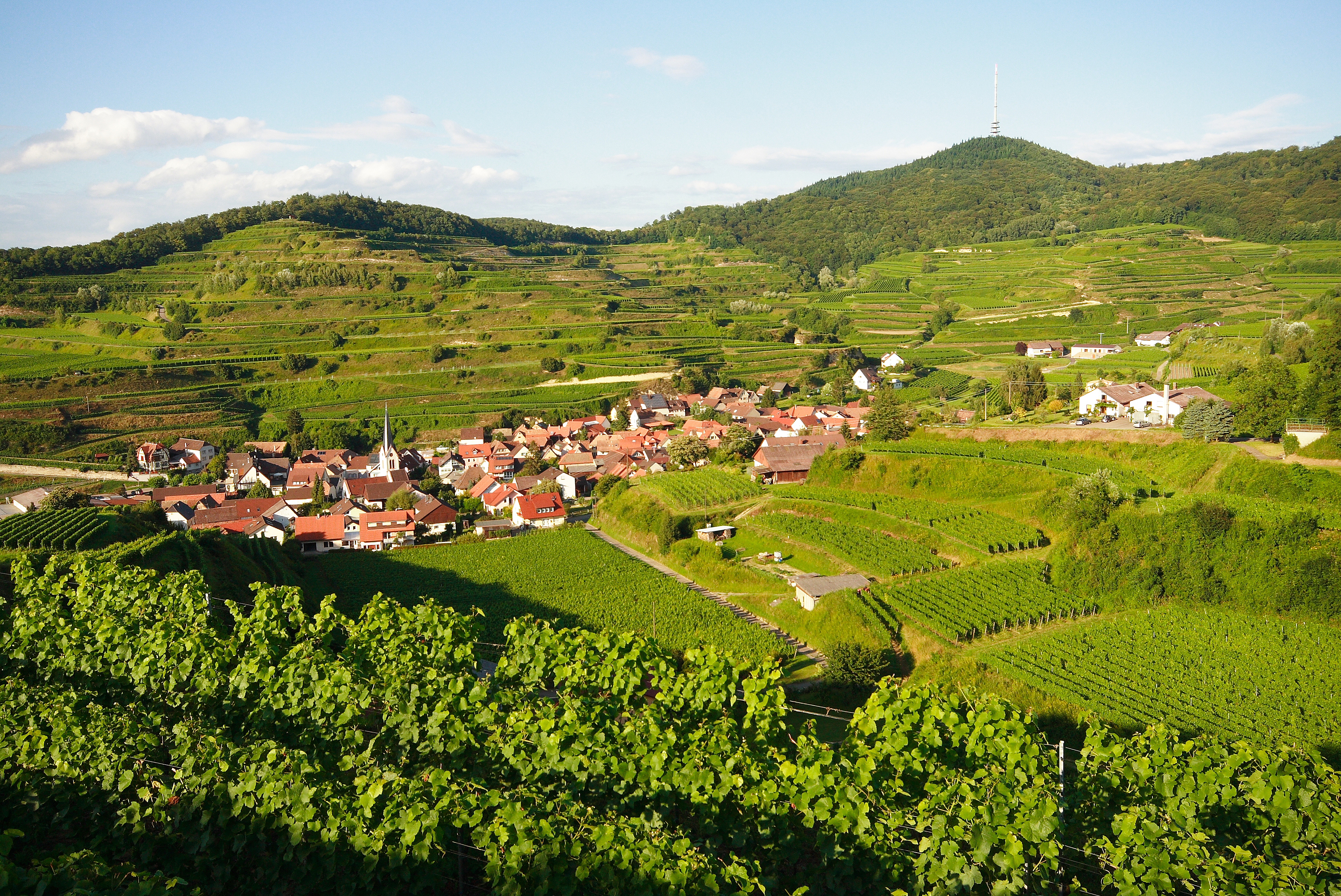 kaiserstuhl webcam