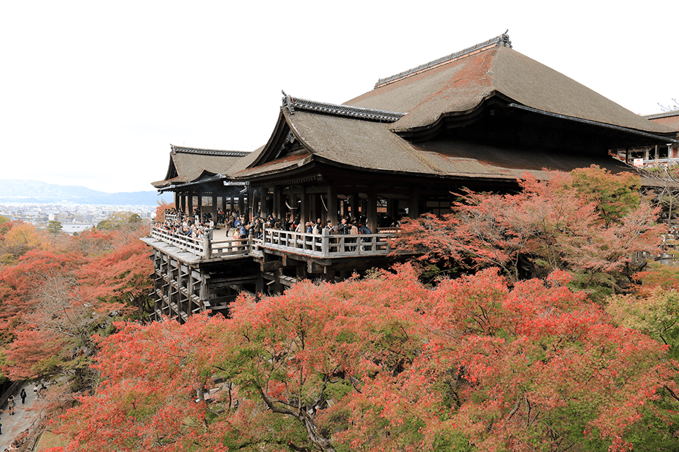 kiyomizu dera 8 cevapları