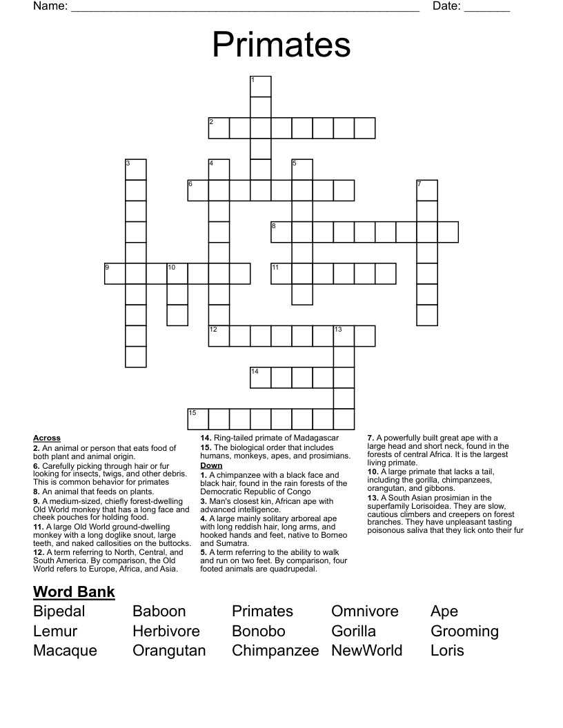 large monkey crossword clue