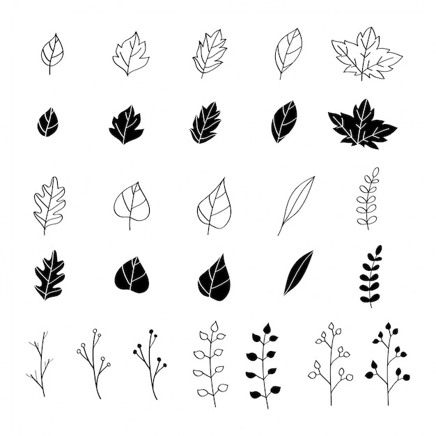leaf graphic vector
