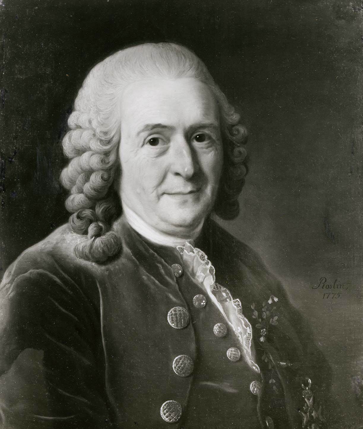 linnaeus is credited with introducing