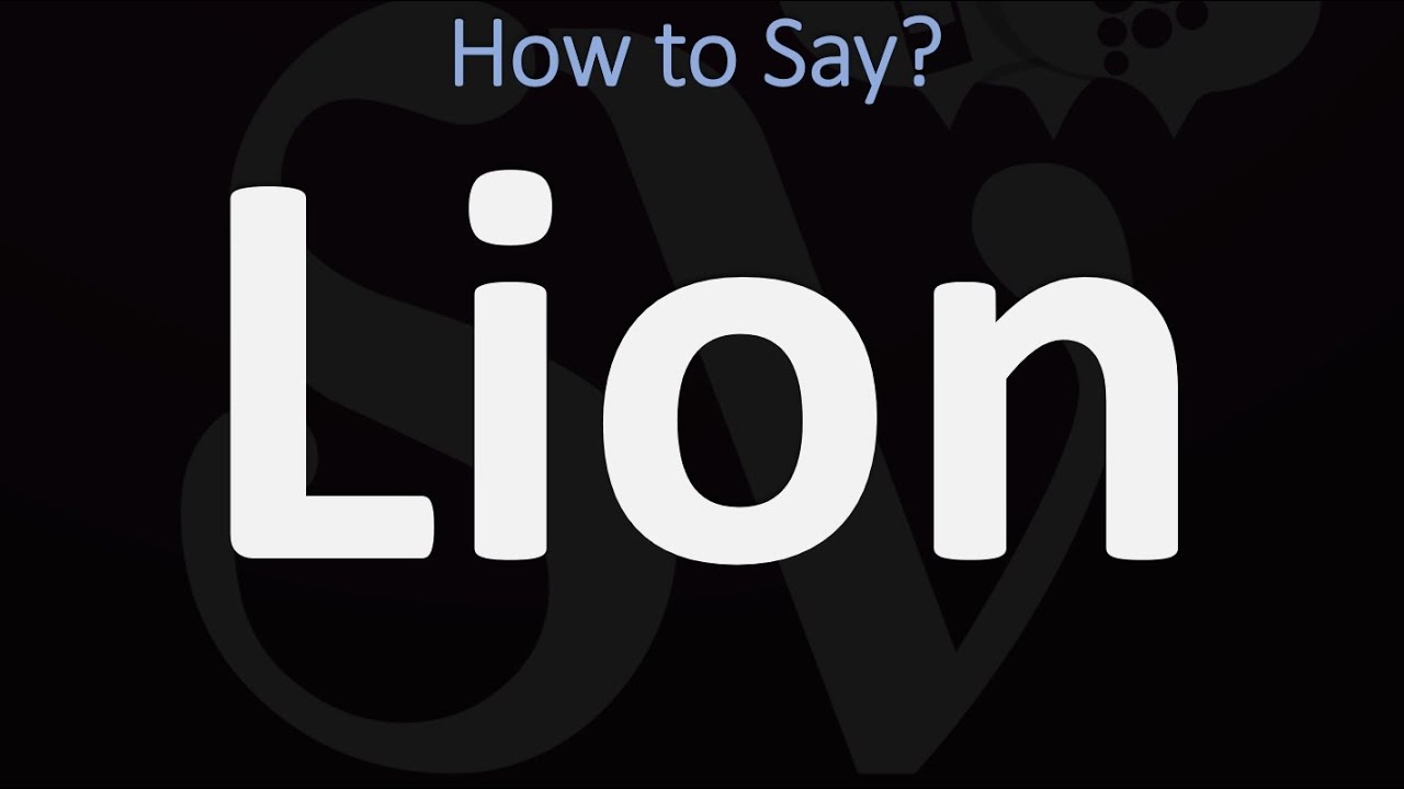 lion pronunciation