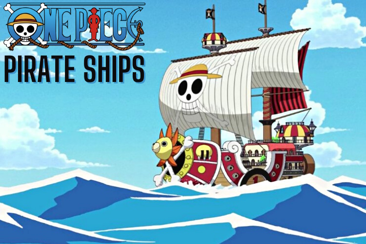 luffy ship name