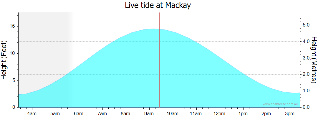 mackay tide times