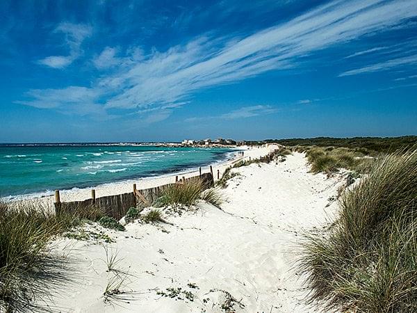 mallorca gay beaches