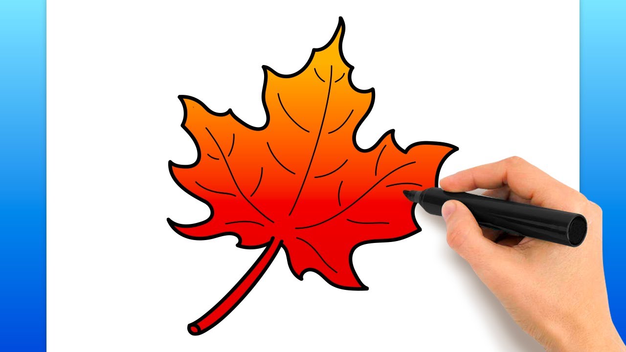 maple tree leaves drawing