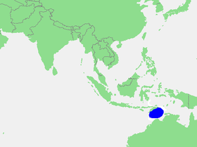 mar de timor 204