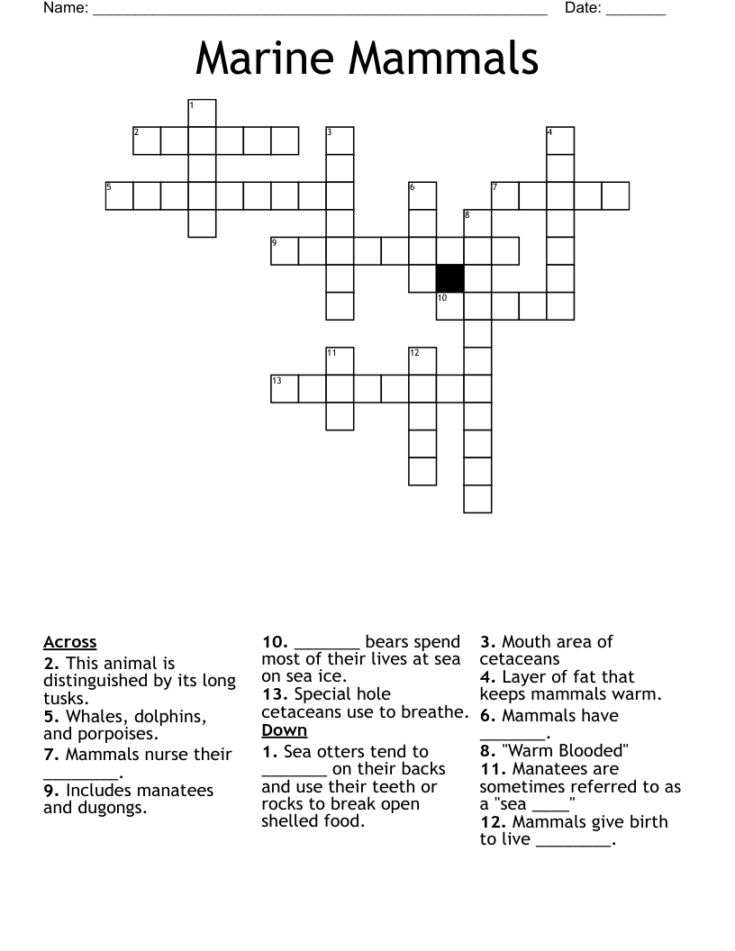 marine crossword clue