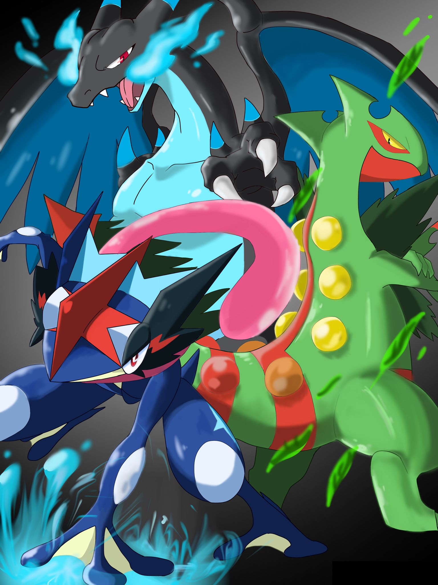 mega charizard x vs ash greninja