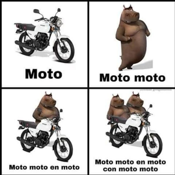 meme motocicleta