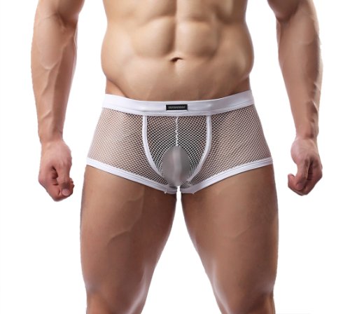 mens see through briefs