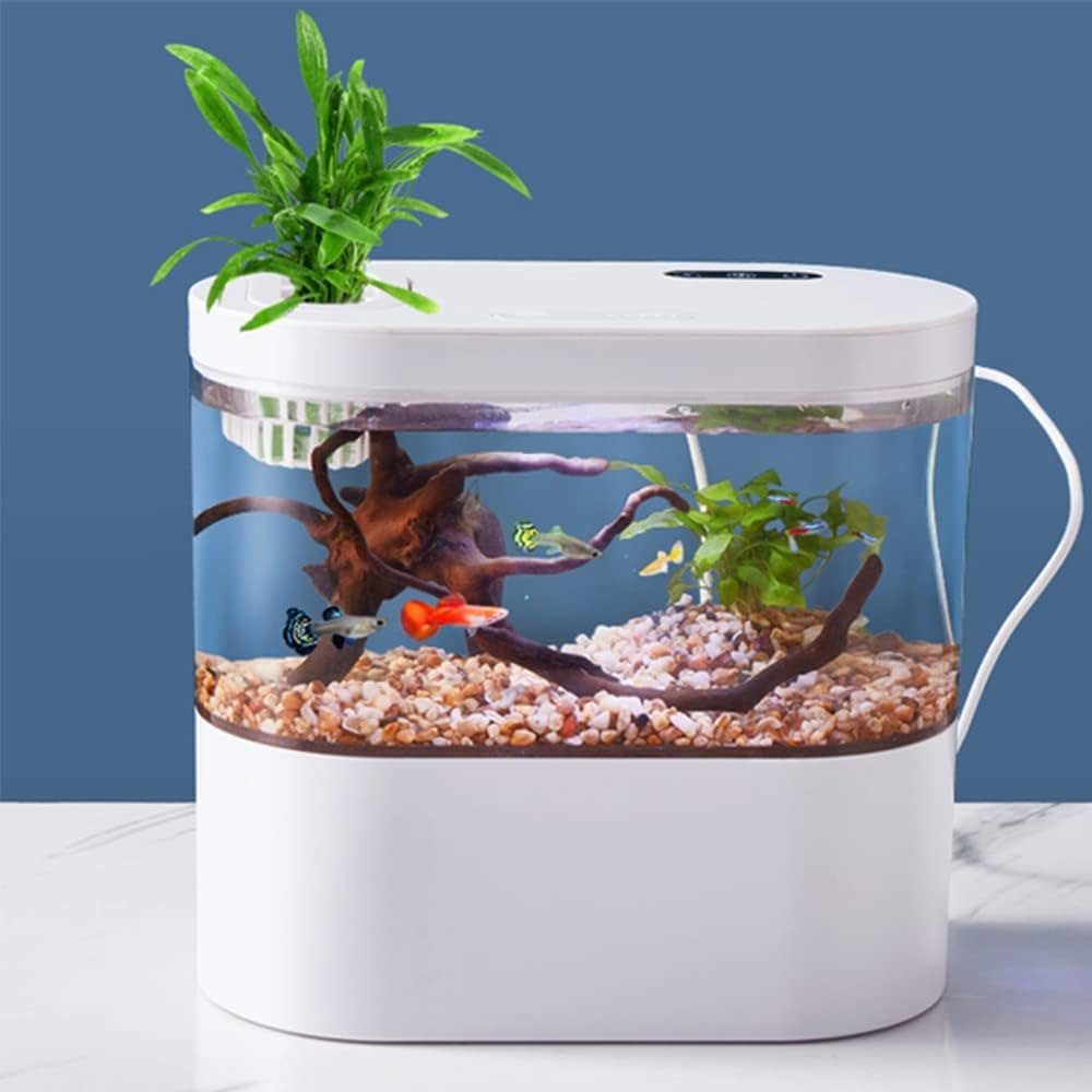 mini fish aquarium