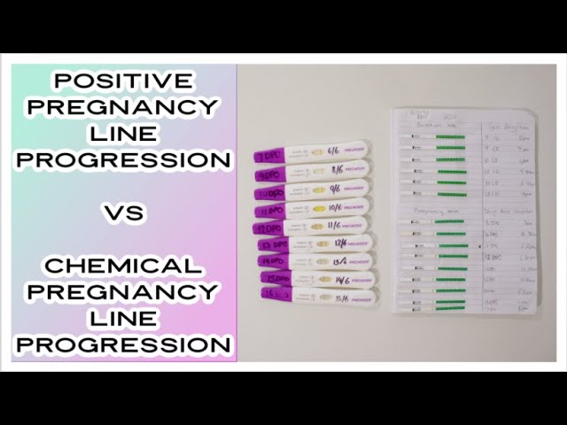 miscarriage chemical pregnancy line progression